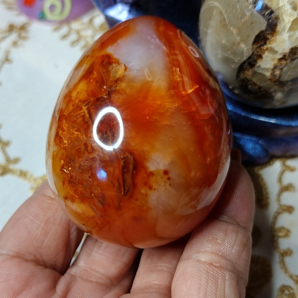 More Pictures to come!